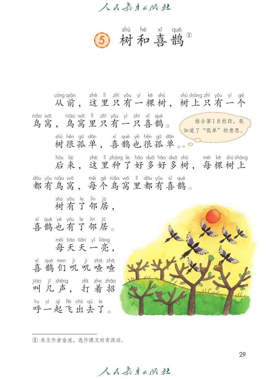 树和喜鹊P29